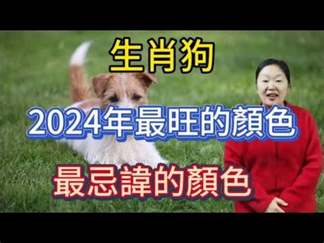 2023屬狗買房|2023年12生肖運勢大全——生肖狗